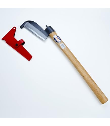 Amazon.com : AZUMASYUSAKU